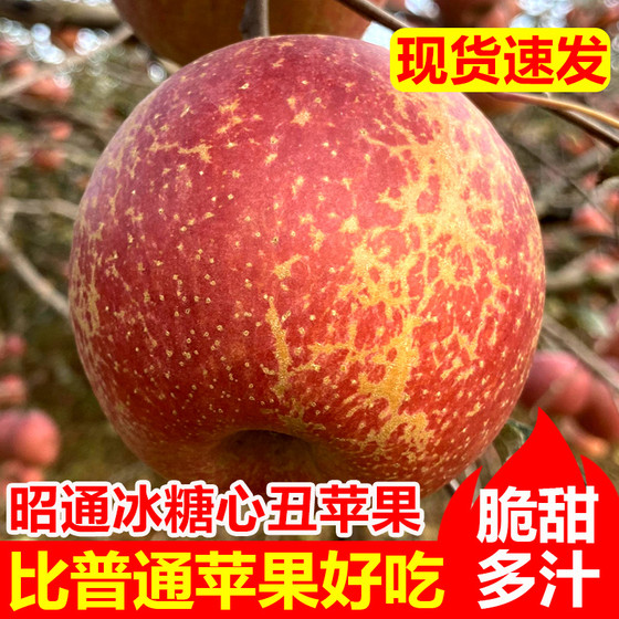 【敬乡耘旗舰店】
    云南昭通冰糖心丑苹果10斤水果新鲜（每个ID限购99件）

