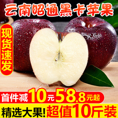 昭通黑卡苹果10斤