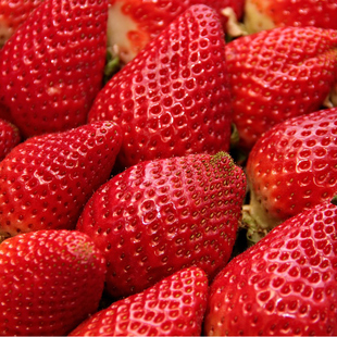 丹东红颜99草莓3斤当季新鲜大果