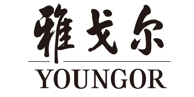 Youngor/雅戈尔