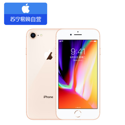 iPhone 8 64G