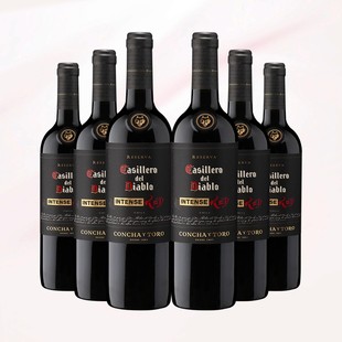 干露红魔鬼黑金浓郁珍藏干红葡萄酒