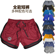 2020 new color matching quick drying leisure sports shorts fitness home comfortable pants