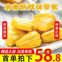 海南热带新鲜水果菠萝蜜13-35斤当季红水果波罗蜜肉
