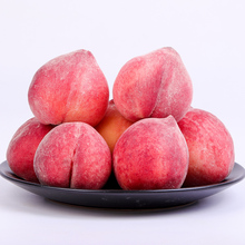 水蜜桃现摘现发5斤果园采摘当季水果应季脆甜