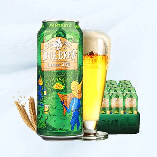 德国进口艾斯宝ipa精酿啤酒24听