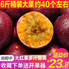 Guangxi baixiangguo 5 super large fruit fresh fruit original pulp egg jam white Xiangguo 1